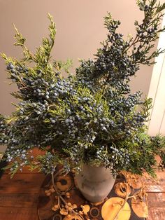 a potted plant sitting on top of a wooden table