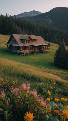 a large house sitting on top of a lush green field next to a tall forest