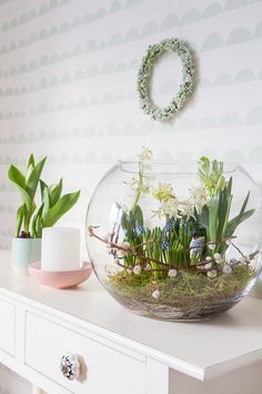 a glass bowl filled with plants sitting on top of a white table next to a wall