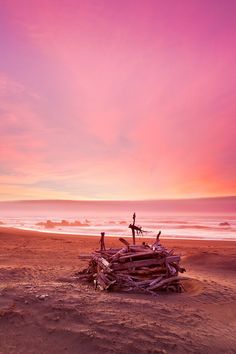 a man standing on top of a pile of driftwood next to the ocean at sunset