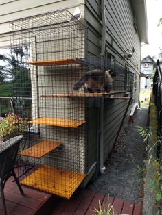 a cat sitting on top of a cage next to a chair and some plants in front of a house