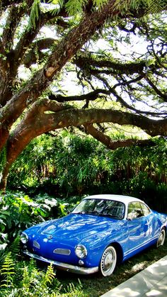 a blue and white car parked under a tree