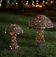 two lighted mushrooms sitting in the grass