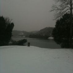 a snowy landscape with trees and water in the distance on a gloomy winter day