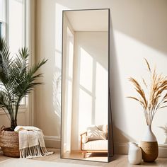 a mirror sitting on top of a wooden floor next to a potted palm tree