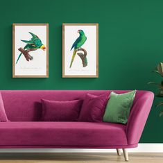 a living room with two paintings on the wall and a fuchsia colored couch