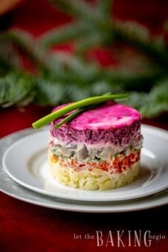 a colorful cake on a white plate with a green plant in the backgroud