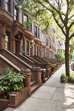 a row of brownstone townhouses on a city street with trees in the foreground