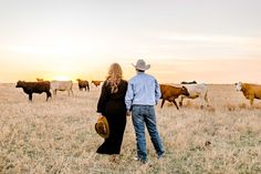 a man and woman are standing in the middle of a field with cows at sunset