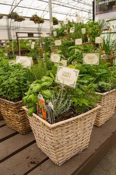 several baskets filled with vegetables on top of a wooden table in a garden center area