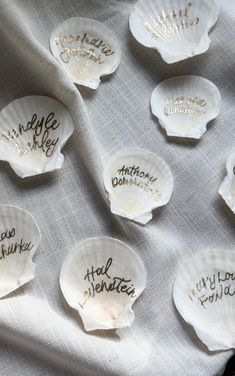 six scallop shells with writing on them