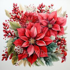 a watercolor painting of poinsettis and berries