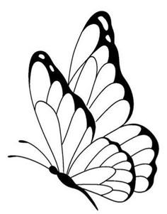 a black and white drawing of a butterfly