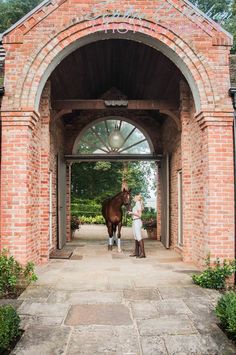 a woman standing next to a brown horse