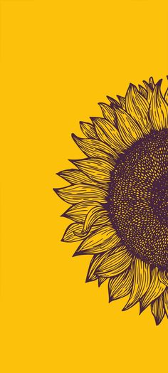 a drawing of a sunflower on a yellow background