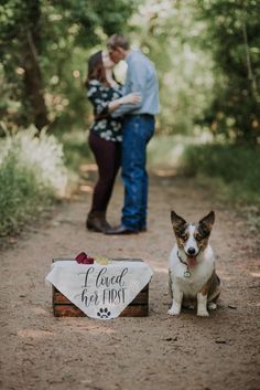 a dog sitting on the ground next to a sign