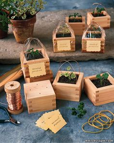 small wooden boxes with plants in them on the ground next to some scissors and thread