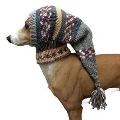 a dog wearing a hat and scarf on it's back