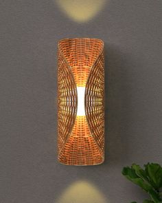 a wall light that is next to a plant