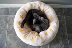 a black cat laying in a yellow and white star print pet bed on the floor