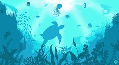 an underwater scene with sea animals and fish