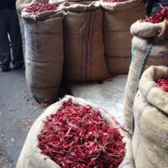 bags full of dried red peppers sitting on the ground