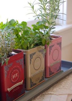 three tins with herbs in them sitting on a shelf