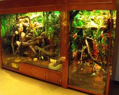 an aquarium filled with lots of different types of plants