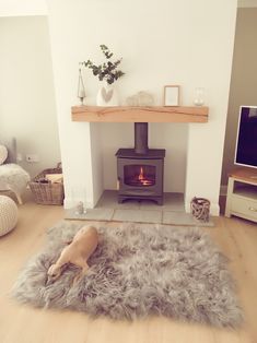 a living room with a fire place in the corner and a rug on the floor