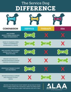 the service dog's differences in different types of dogs and their owners info sheet