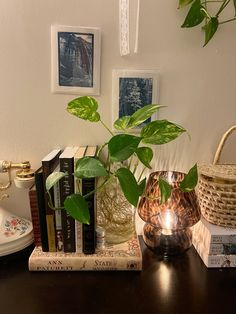 a table with books and plants on it, including a potted plant in the center