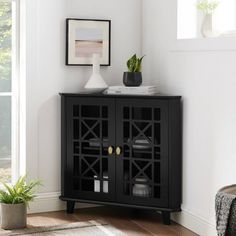 a black cabinet with two doors and some plants on it in a white living room