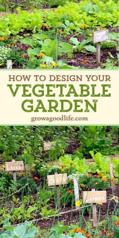 an image of vegetable garden with wooden signs in the middle and flowers growing out of it