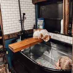 a dog laying on top of a bath tub in a bathroom