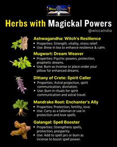 Herbs have carried the secrets of magick and protection for centuries. Tap into their powerful energies to enhance your witchcraft practice. Glamour Magick Herbs, Protection Herbs Magick, Herbs Candles, Holistic Herbs, Witchcraft Practice, Knot Magic, Magick Herbs, Herbs For Protection