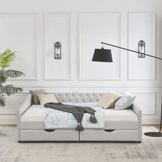 a living room with a couch, lamp and potted plant