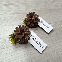 two pine cones are placed on top of each other with name tags attached to them