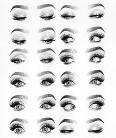 an image of different types of eyes