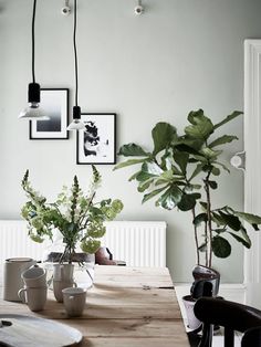 an image of a dining room with plants on the table and pictures on the wall