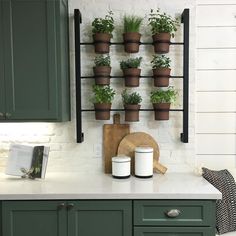 a kitchen with green cabinets and potted plants hanging on the wall above the sink