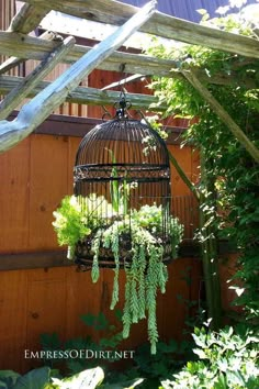 a birdcage hanging from the side of a wooden fence with plants growing out of it