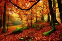 an autumn forest with leaves on the ground