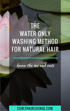 Have you heard of the Water Only Washing Method to care for your tressesI call it the WOW Method (Water Only Washingmaybe it's not originalbut lets just roll with it. Water Only Hair Washing, Loc Method, Natural Hair Care Routine, Natural Hair Transitioning, Best Natural Hair Products, Dry Curly Hair, Natural Hair Regimen, Transitioning Hairstyles