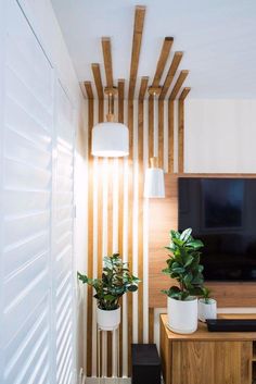 two potted plants sit in front of a flat screen tv on a wooden entertainment center