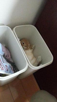 two bins with stuffed animals in them sitting on the floor next to each other