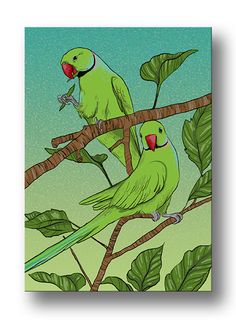 two green birds sitting on top of a tree branch