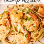 creamy shrimp alfredo on a white plate with parsley garnish and text overlay