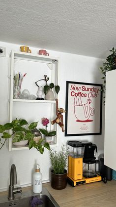 a kitchen counter with plants and coffee maker on it's shelf above the sink