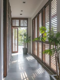 an empty hallway with wooden shutters and potted plants