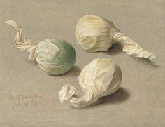 three different types of vegetables are shown in this drawing, one is white and the other is green